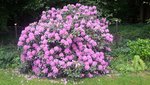 20220529_093333.jpg