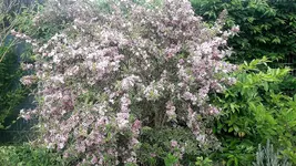 20220529_093554.jpg
