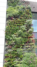 Blumenwand1.webp