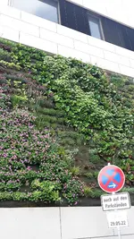 Blumenwand.webp