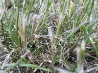 IMG_8342.webp