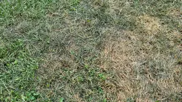 20220530_114245.webp