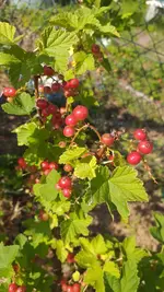 20220530_163234.webp