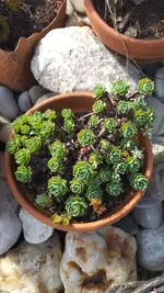 20220530_164054.webp