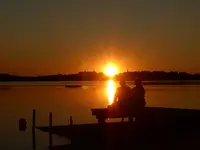 P1100317.webp