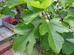 DSC02414.JPG