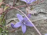 14 (4).webp