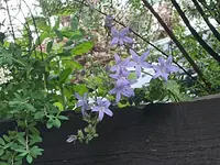 14 (5).webp