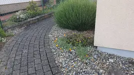 2022-05-30 Gartenfotos_2.webp