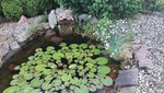 2022-05-30 Gartenfotos_5.jpg