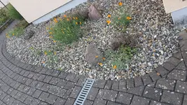 2022-05-30 Gartenfotos_6.webp