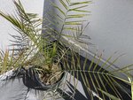 IMG_8361.JPG