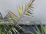 IMG_8362.JPG