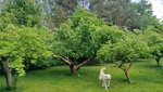 baum_2_after.jpg