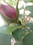 IMG_20220531_104647.jpg