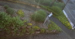 2022-05-30 Schotterflächen im Garten02.jpg