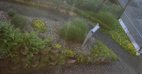 2022-05-30 Schotterflächen im Garten02.webp