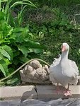 IMG_20220522_121910_5.jpg