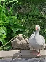 IMG_20220522_121910_5.webp IMG_20220522_121910_5.webp