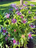 IMG_20220601_081407.webp