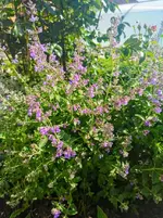 IMG_20220601_081420.webp