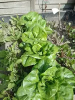 IMG_20220531_095458.webp