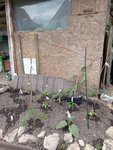 IMG_20220531_170123.jpg