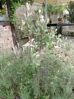IMG_20220531_170311.webp