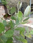 IMG_20220531_170303.jpg