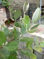 IMG_20220531_170303.webp