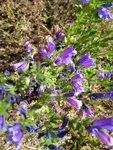 IMG_20220601_105719.jpg