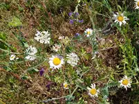 IMG_20220601_105647_1.jpg