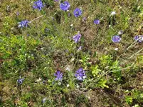 IMG_20220601_105431_1.jpg