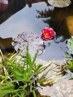 20220601_171736.webp