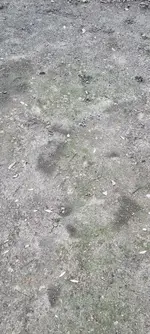 20220601_182710.webp