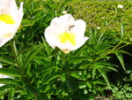 DSC02418.JPG