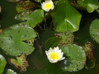 DSC02421.webp