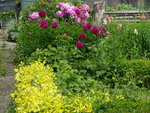 DSC02428.JPG
