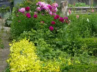 DSC02428.webp
