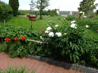 DSC02430.webp