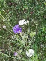 IMG_20220602_085434_2.webp