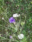 IMG_20220602_085434_2.jpg