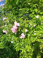 IMG_20220602_190618_2.webp