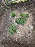 PXL_20220602_163501400.jpg