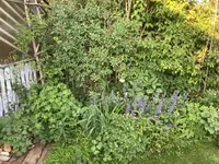 IMG_0877.JPG