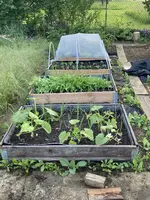 IMG_0888(1).webp