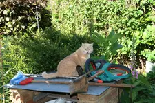 Rudi0622.webp