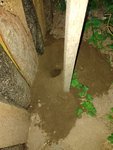 IMG-20220603-WA0004.jpg