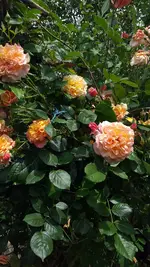 20220603_140053.webp