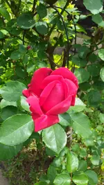 20220603_135858.webp